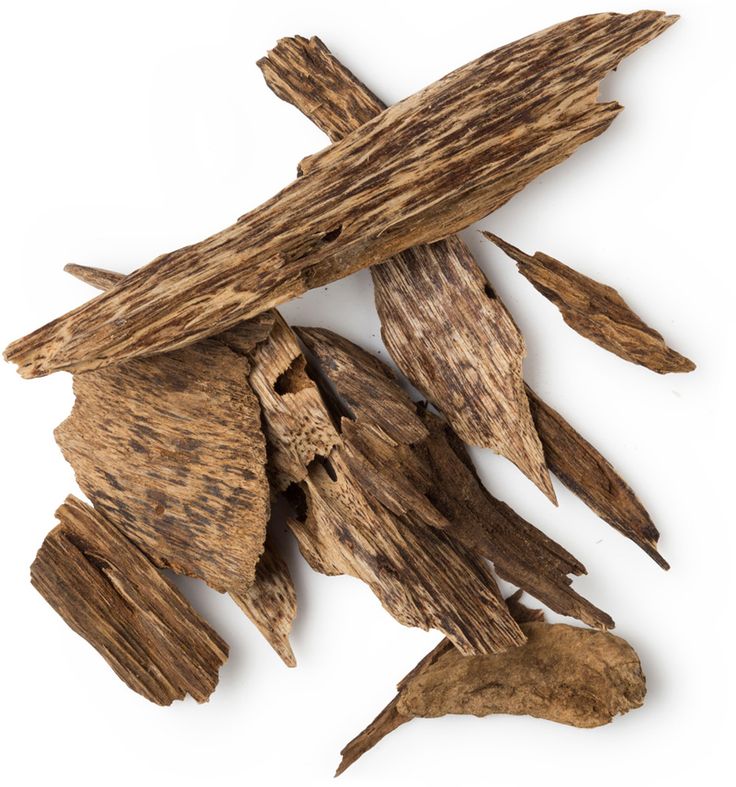 Oud