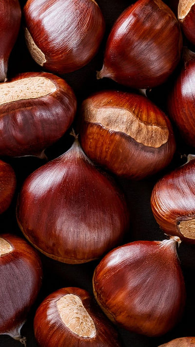 Chestnut