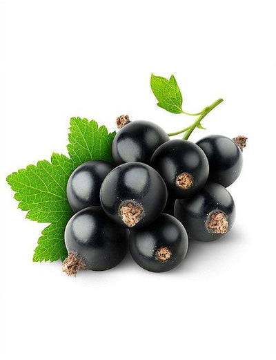 Black current