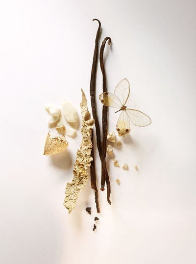 Vanilla