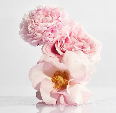 Peony